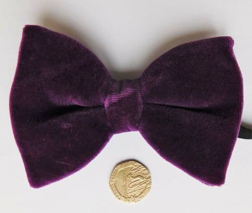 Strange purple velvet bow tie collar NEW SECONDS several available